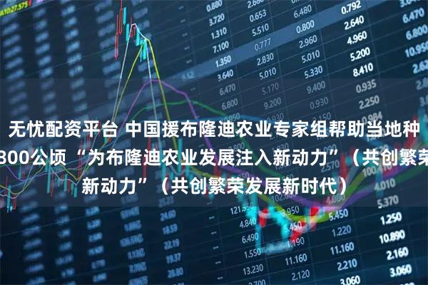 无忧配资平台 中国援布隆迪农业专家组帮助当地种植杂交水稻3800公顷 “为布隆迪农业发展注入新动力”（共创繁荣发展新时代）