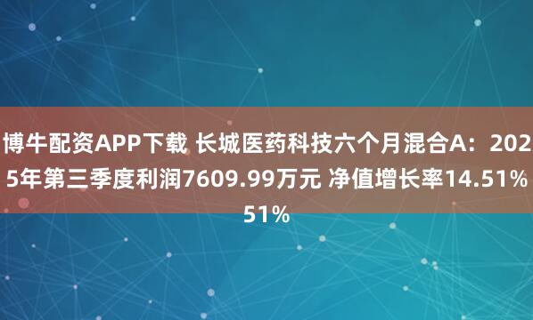 博牛配资APP下载 长城医药科技六个月混合A：2025年第三季度利润7609.99万元 净值增长率14.51%